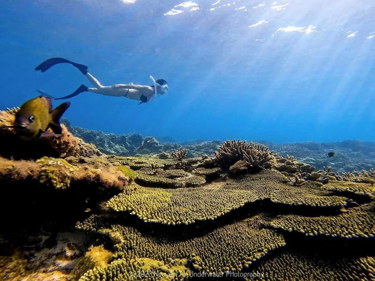 phu quoc plongee_1000